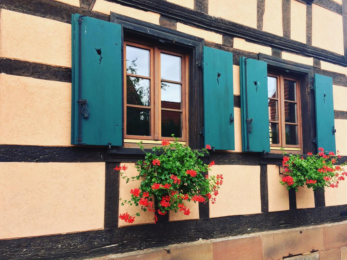 Chambres D'Hotes S'Burehiesel Schillersdorf エクステリア 写真